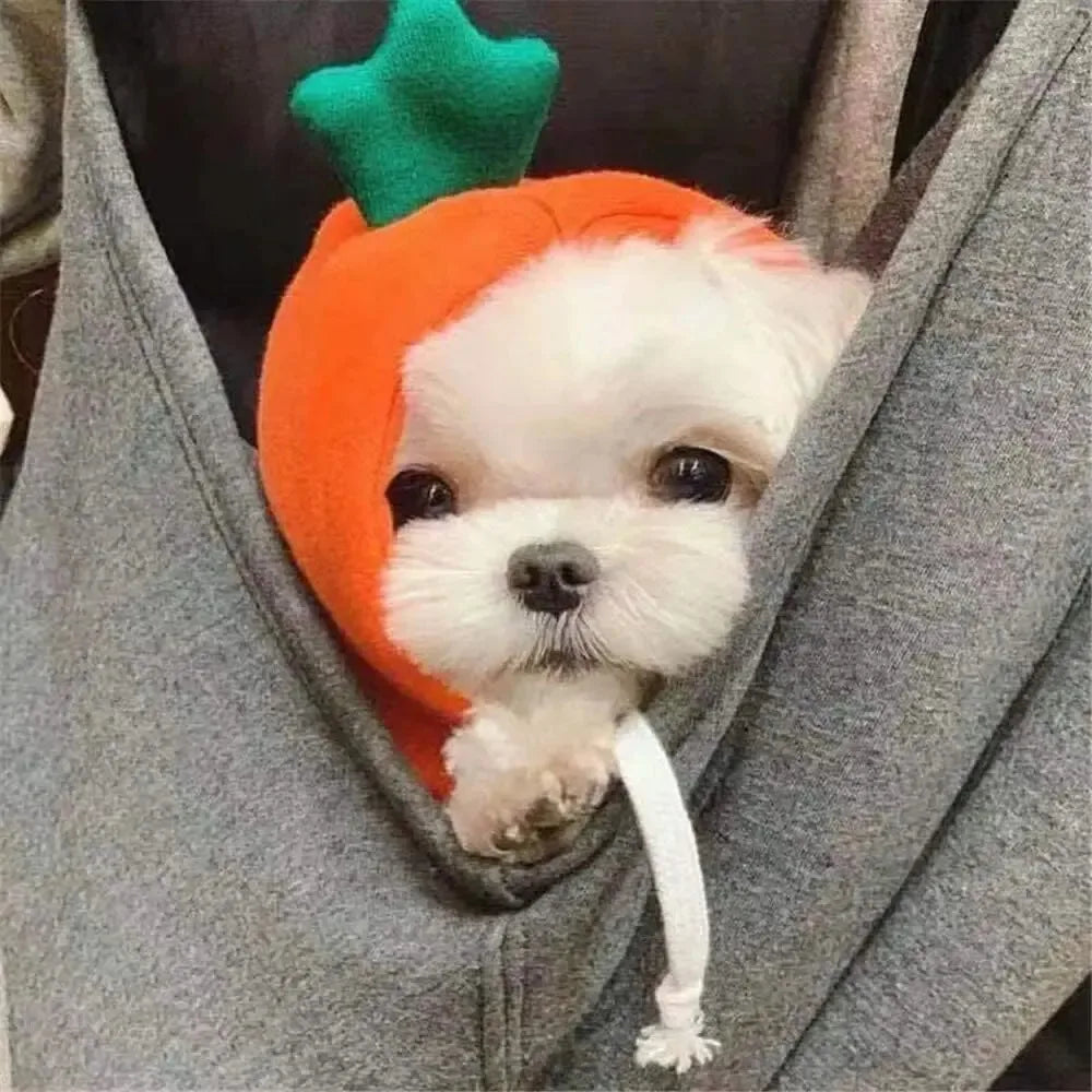 Pet Hoodies