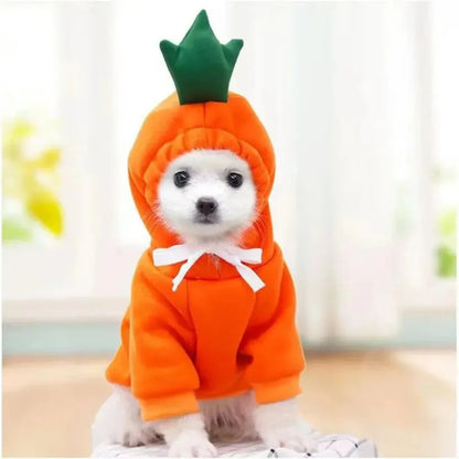 Pet Hoodies