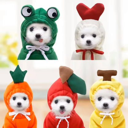 Pet Hoodies