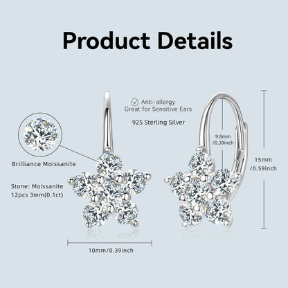 Étoile d’Argent Earrings