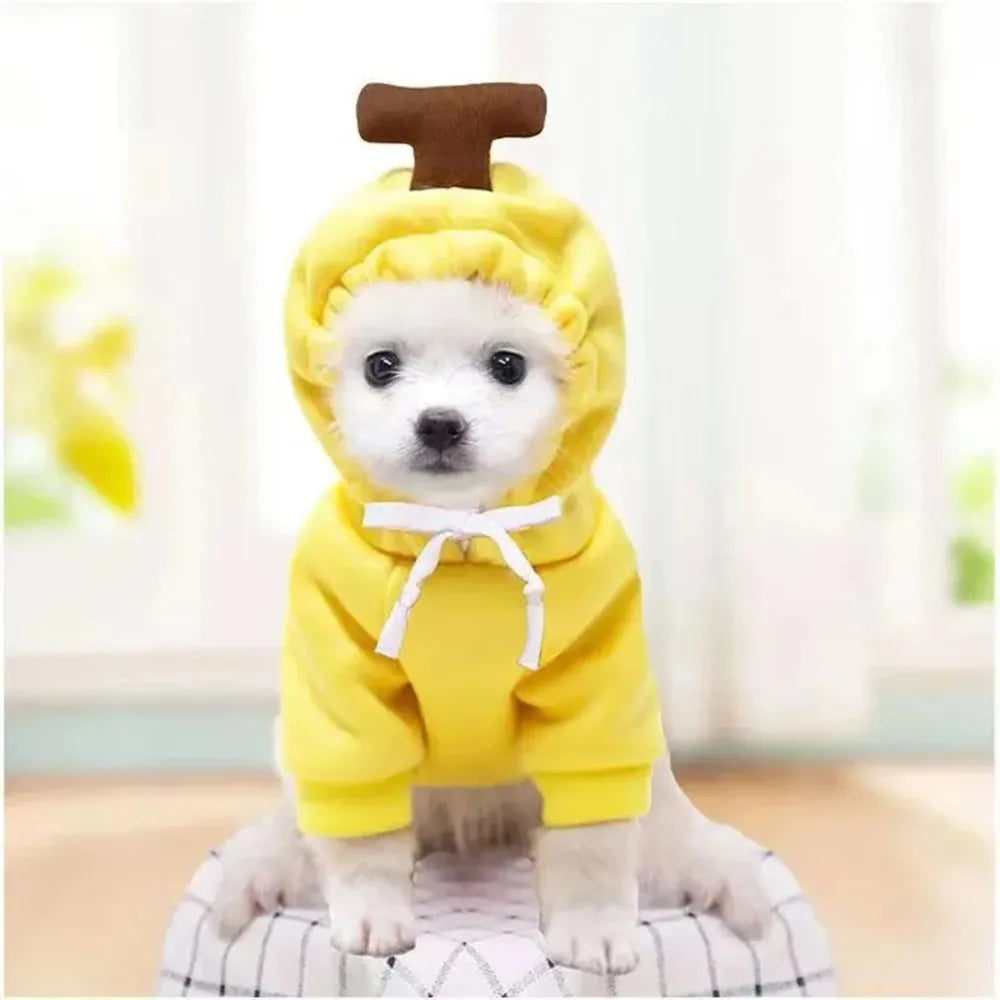 Pet Hoodies